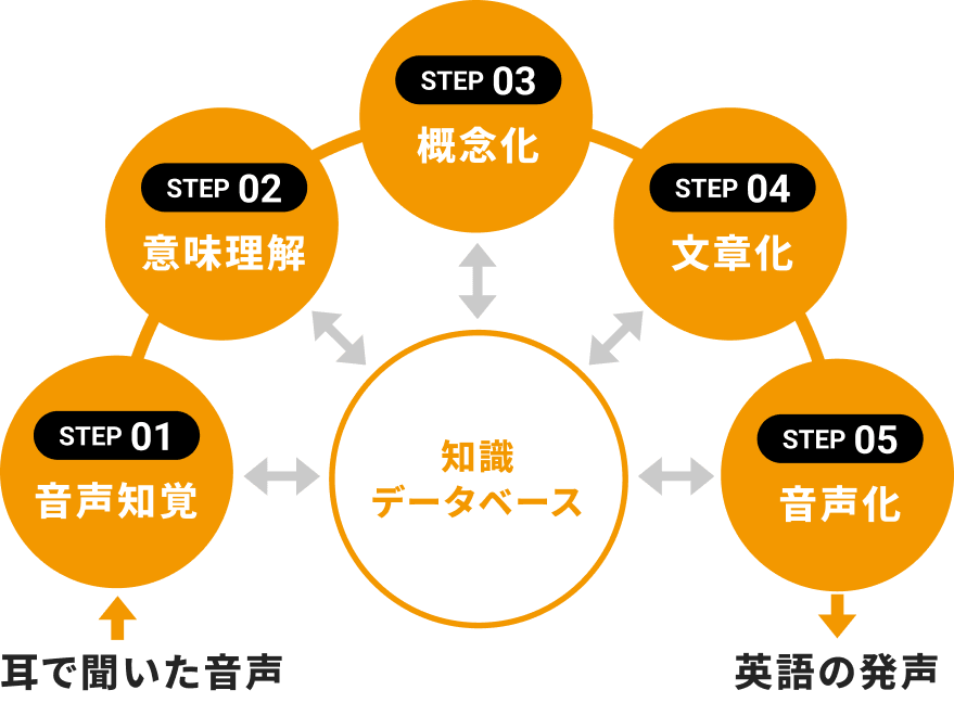 英会話の5step：STEP01 音声知覚、STEP02 意味理解、STEP03 概念化、STEP04 文章化、STEP05 音声化